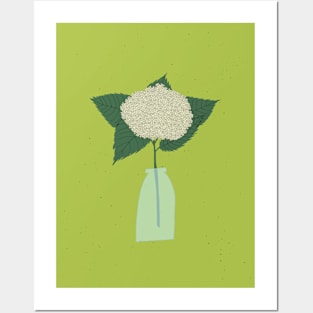 Floral drawing III: white hydrangea Posters and Art